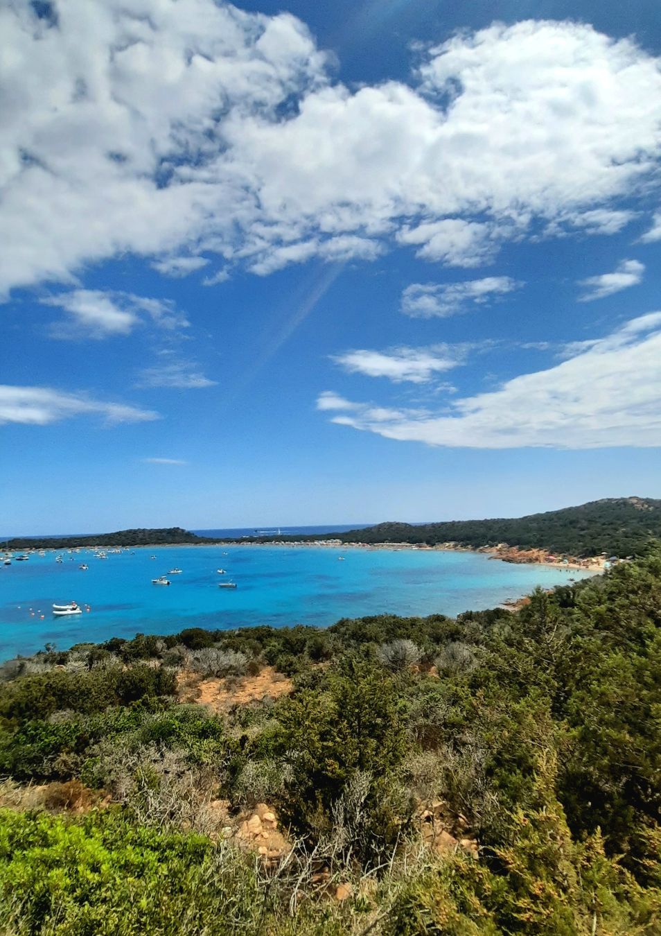 LA BAIA DELLA MIA ESTATE - ANTONIA CORDELLA